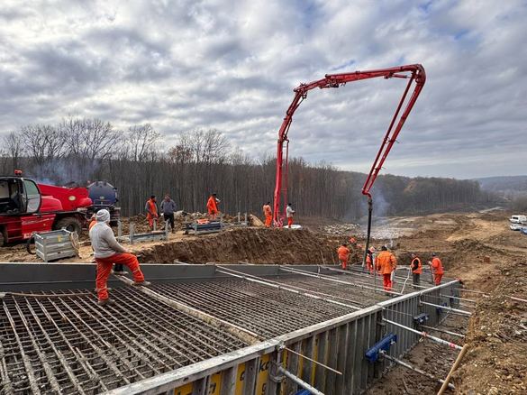 FOTO&VIDEO „Tunelurile pentru urși”, în linie dreaptă