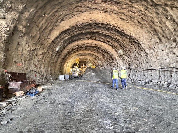 FOTO&VIDEO „Tunelurile pentru urși”, în linie dreaptă