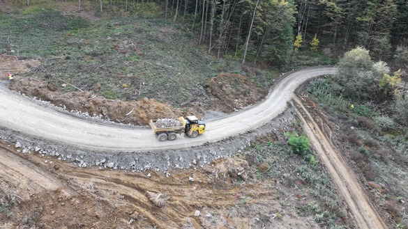 FOTO&VIDEO „Tunelurile pentru urși”, în linie dreaptă
