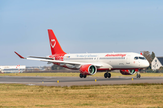 AnimaWings lansează trei noi rute din București 