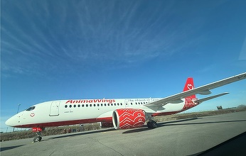 AnimaWings lansează noi rute din România