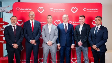 FOTO AnimaWings vinde 50% din acțiuni. Compania aeriană fondată de frații Pandel atrage trei investitori 