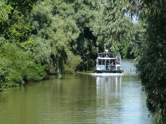  Limită de viteză pentru ambarcațiuni în Delta Dunării. Amenzile pentru depășirea vitezei