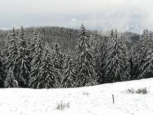 Crăciunul după weekend și zilele libere au ridicat cererea pentru hoteluri și pensiuni din țară. Banii cheltuiți - peste anul trecut. Cât costă o vacanță în Bran, Maramureș, dar și în  Egipt, Dubai, Maroc
