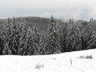 Crăciunul după weekend și zilele libere au ridicat cererea pentru hoteluri și pensiuni din țară. Banii cheltuiți - peste anul trecut. Cât costă o vacanță în Bran, Maramureș, dar și în  Egipt, Dubai, Maroc