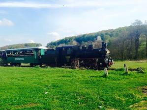 Ministerul Turismului vrea să modifice Masterplanul investițiilor în turism pentru a putea aloca fonduri și pentru dezvoltarea rețelei de peșteri turistice, pentru rețele de tip ”mocănița” și pentru investiții în acvarii