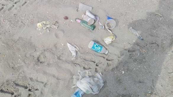 FOTO Cele mai murdare și cele mai curate sectoare de plajă din România