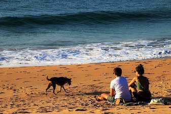 Sri Lanka și-a întâmpinat primii turiști, după nouă luni