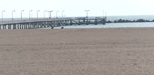 VIDEO După turiști, și investitorii sunt nemulțumiți de plaja lărgită din Mamaia și vor să suspende contractele:  apa e prea adâncă, șezlongurile sunt prea departe de mal, nisipul adus nu mai este fin