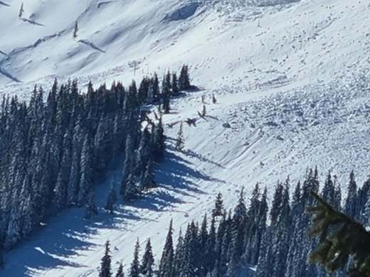 FOTO O avalanșă de mari dimensiuni a "măturat" o cabană din munții Rodnei