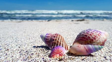Paradis Tours: România nu mai este cunoscută ca destinație turistică, zboruri charter nu mai sunt operate acum către litoral: Fără chartere, nu vom avea niciodată mulți turiști străini. Dezastru dacă modelul Mamaia Nord va fi replicat în sud