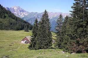 Sosirile în unitățile de cazare au crescut 