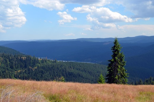 România turistică, promovată în rândul tinerilor din întreaga lume
