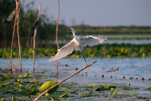Jurilovca va avea un port nou până la sfârșitul lunii