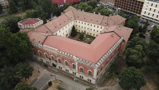 Castelul Huniade din Timișoara va fi restaurat după 30 de ani, cu peste 67 de milioane de lei