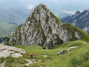 Cazul tinerei omorâte de urs în Bucegi - Romsilva anunță că va crește măsurile de monitorizare a urșilor în special în zonele turistice. Vor fi montate panouri de avertizare referitoare și vor fi instalate camere de monitorizare în zonele de risc