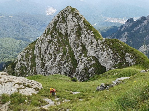 Cazul tinerei omorâte de urs în Bucegi - Romsilva anunță că va crește măsurile de monitorizare a urșilor în special în zonele turistice. Vor fi montate panouri de avertizare referitoare și vor fi instalate camere de monitorizare în zonele de risc