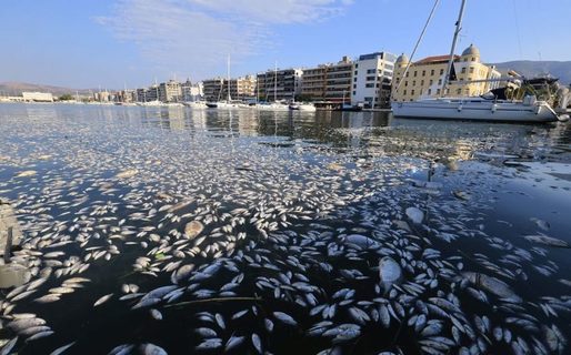 Anchetă, după ce portul turistic Volos din Grecia a fost „inundat” de sute de mii de pești morți. Zona afectată se întinde pe kilometri întregi, iar mirosul exasperează localnicii