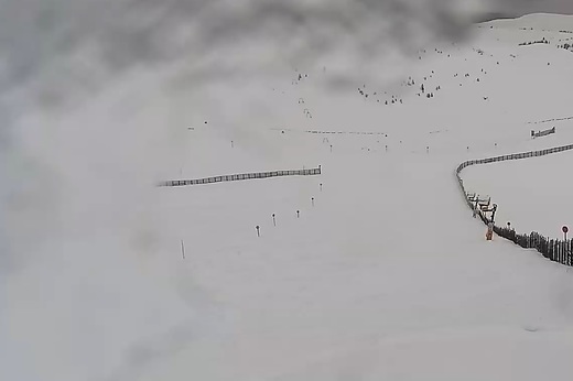 Drumul spre Cota 1400 din Sinaia a fost închis din cauza ninsorii