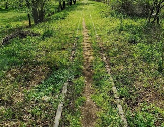 FOTO Mocănița de pe valea Bistriței, singura de la sud de Carpați, propusă pentru un circuit turistic prin Oltenia de sub munte