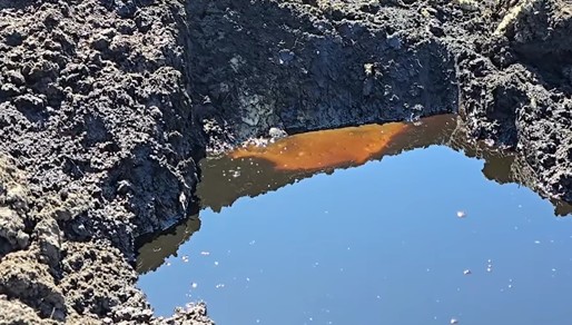 VIDEO Izvoare de suprafață cu petrol, transformate în atracție turistică în Buzău