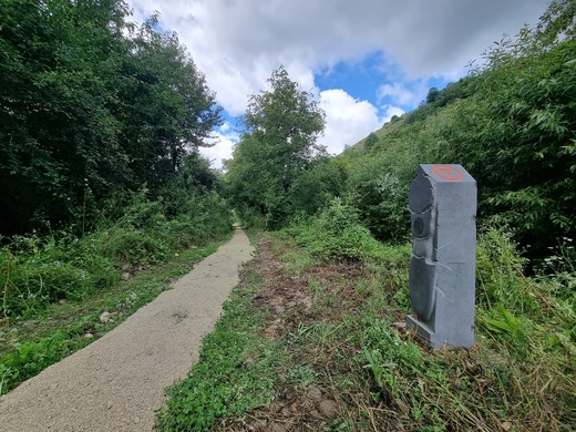 Pîslaru: Negociem granturi de 6-7 milioane de euro pentru Via Transilvanica 