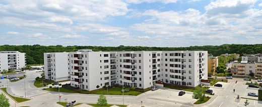 Impact Developer & Contractor și-a redus cu două treimi profitul net în primul trimestru