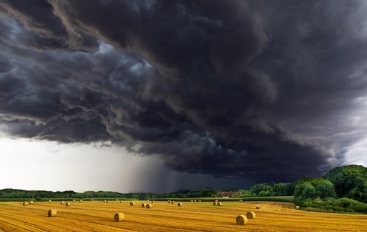 EXCLUSIV Tranzacțiile cu terenuri agricole s-au prăbușit. Surprinzător, un român a cumpărat pământ de la un străin. HARTA pe județe cu suprafețele controlate de străini
