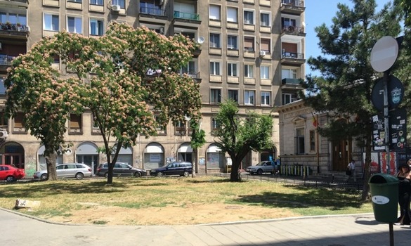 EXCLUSIV FOTO Idee de bloc cu 7 etaje pe spațiul verde din fața Cărturești, de pe Magheru colț cu Verona. Primăria poate fi bună de plată, cu sprijinul Guvernului