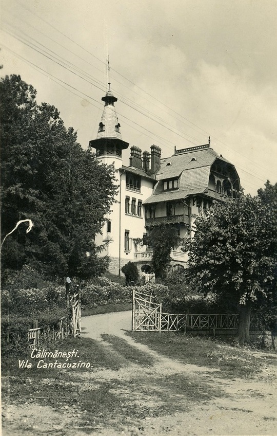 FOTO „Micul castel de pe Valea Oltului” și două vile construite la începutul secolului trecut, scoase la vânzare