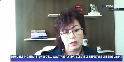 Videoconferința Profit.ro - IMM-urile în criză. Crudu, BICO Industries: Am decis că, în această perioadă de criză, cea mai bună măsură este să nu mai solicităm credite de la bănci