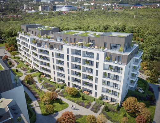 Speedwell a semnat contractul cu BTDConstruct & Ambient și începe lucrările de construcție pentru The Ivy