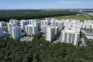 Dezvoltatorul imobiliar Impact Developer & Contractor raportează venituri în creștere cu aproape 30%
