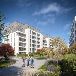 Speedwell: Dezvoltarea de proiecte sustenabile, de lungă durată