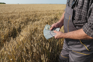 EXCLUSIV Cea mai mare tranzacție cu teren agricol a anului. Mihai Anghel, proprietarul Cerealcom, cel mai mare trader român de cereale, cumpără teren de la directorul APIA Dolj. Topul celor mai scumpe parcele vândute