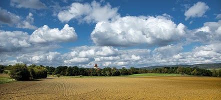 Prețurile terenurilor arabile din România sunt mai mari decât în Franța sau Estonia. Cât costă în regiunile din țară