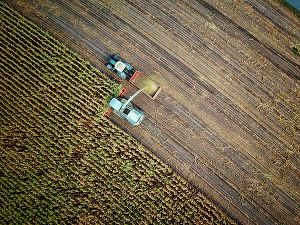 Topul tranzacțiilor cu terenuri agricole. Achiziții realizate doar de agricultori români. HARTA prețurilor