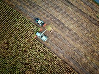 Topul tranzacțiilor cu terenuri agricole. Achiziții realizate doar de agricultori români. HARTA prețurilor