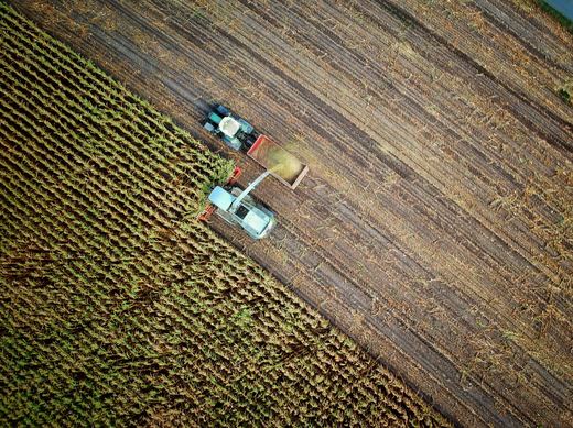 Topul tranzacțiilor cu terenuri agricole. Achiziții realizate doar de agricultori români. HARTA prețurilor