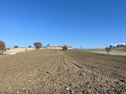 Piața terenurilor, dominată de investitorii români, se adaptează unui climat incert  