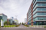 EXCLUSIV Chiriaș nou pe o piață de birouri săracă. Cris-Tim în locul Oracle după o tranzacție mare 
