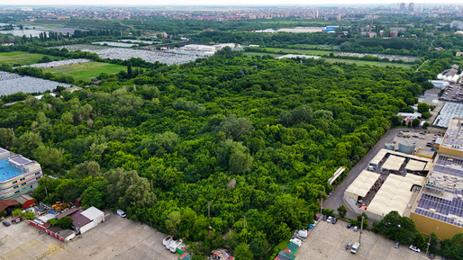 FOTO Teren de 10 hectare din București, la vânzare. Licitația pornește de la 4 milioane euro
