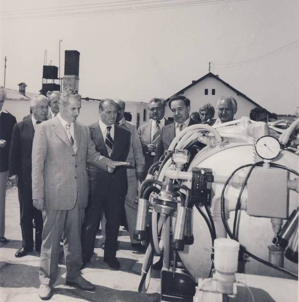 6 iunie 1981. Vizită de lucru la Ferma zootehnică nr.10 Pantelimon SURSA FOTO: comunismulinromania.ro