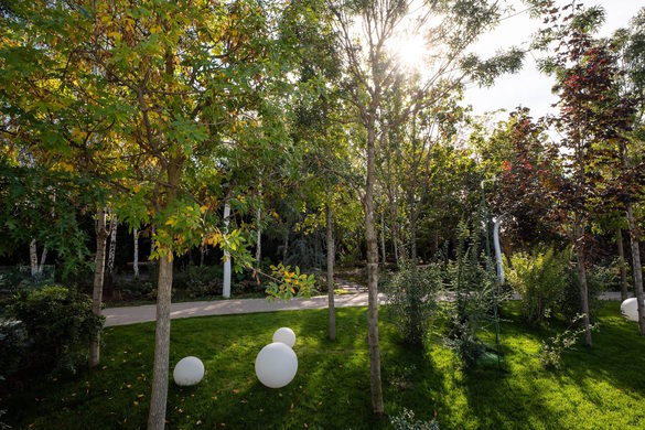 FOTO Tranzacție majoră pe piața închirierilor. Procter & Gamble își mută angajați din sediul central în birourile lui Liviu Tudor CONFIRMARE