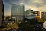 Investiție în România. Gigantul înghețatei care deține Betty Ice deschide la București un centru cu 200 de angajați CONFIRMARE