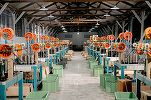 Producători asiatici, în special chinezi, analizează România. Producția câștigă teren pe piața industrială și logistică