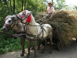Statul vrea să stimuleze asocierile dintre agricultori și pregătește facilități fiscale pentru cooperative