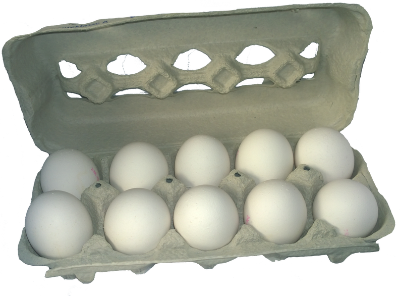 Patronatul acuză: Producătorii români de ouă au ajuns în pragul falimentului din cauza concurenței din Polonia