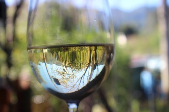 OIV: Producția de vin a României a crescut cu 37%, la 4,8 milioane hectolitri