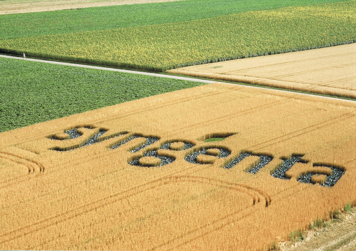 Acțiunile Syngenta, cu activități și în România, scad pe fondul temerilor că preluarea de către ChemChina va fi întârziată